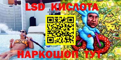 крисы Гай