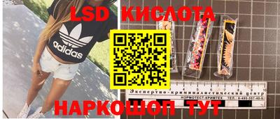MDMA Гатчина