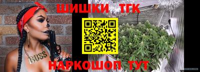 крисы Гай