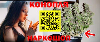 крисы Гай