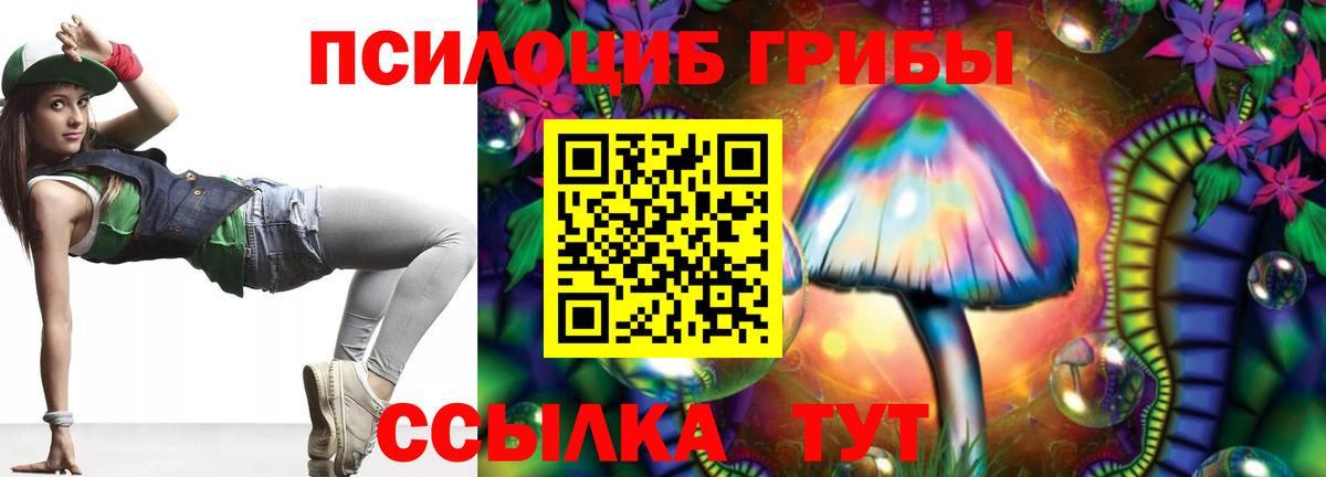 Галлюциногенные грибы Psilocybine cubensis  где можно купить наркотик  Советск  Вход с VPN  Галлюциногенные грибы Psilocybine cubensis 