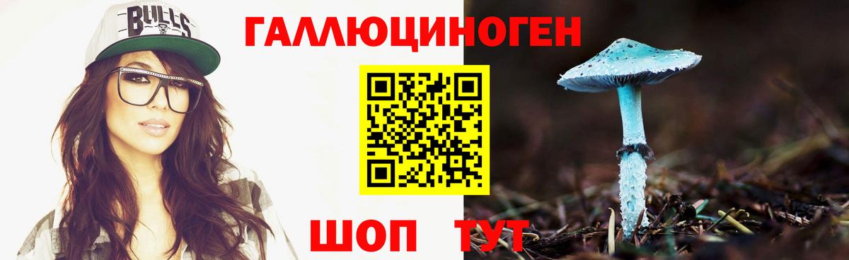 Псилоцибиновые грибы Cubensis Советск